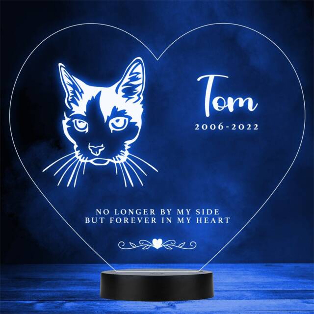 Cat Pet Loss Memorial Forever in My 6 Personalised Gift Colour Night Light - image 1