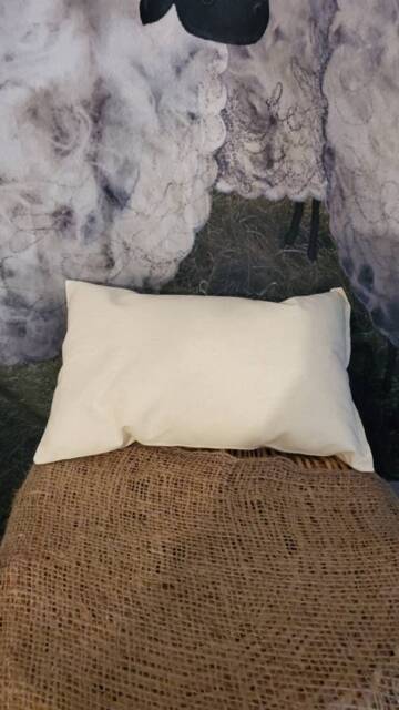 Organic Wool Travel Pillow - Chemical Free Cotton Cover, Lumbar Support - image 1