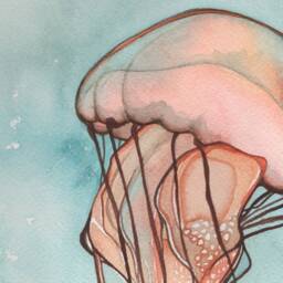 Sea Nettle Jellyfish Print Whimsical Watercolor Artwork - thumbnail 2