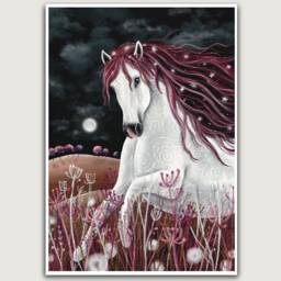 A3 A4 Original Art Print - Midnight Horse Dreamy White Horse Art Fantasy Poster Wildlife Wall Nursery - thumbnail 3