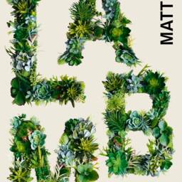 Moss Wall Letter With Succulents Woodland Nursery Decor - thumbnail 2