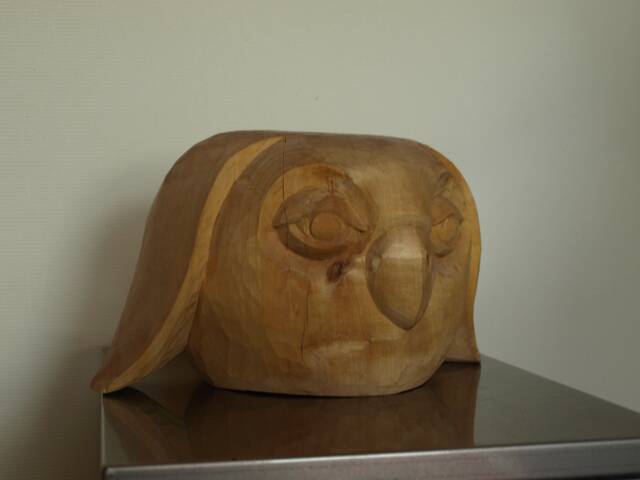 Owl - image 1