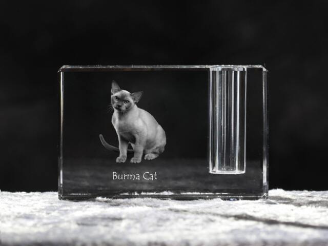 Burmese Cat , Crystal Pen Holder With Cat, Souvenir, Decoration, Limited Edition, Collection - image 1