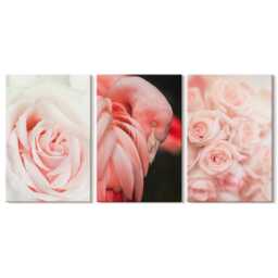 Canvas Art Set Of 3 - Pastel Pinks & Flamingo in Delicate Shades, Pink Picture Print, Plants Flowers Wall Decor - thumbnail 3