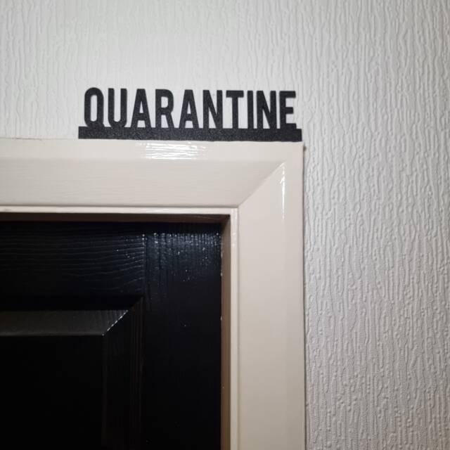 Quarantine Door Topper, Shelf Decor, Wall Quirky Home Interior Gift, Door Decoration - image 1