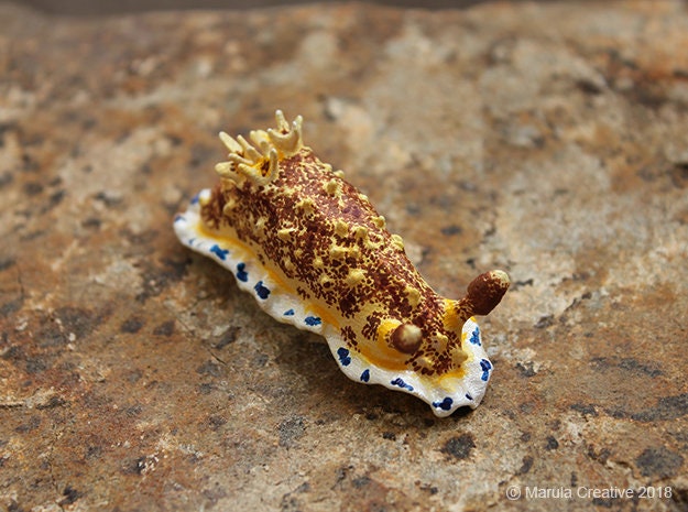 Sia The Nudibranch - Dendrodoris Caesia - image 1
