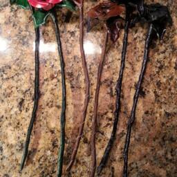 Leather Roses - thumbnail 3