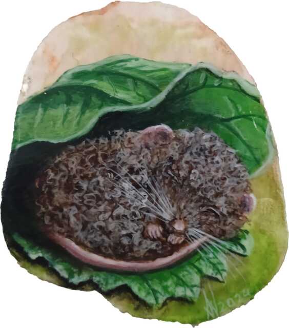 Miniature Painting Sleeping Woolmouse - image 1