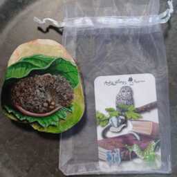 Miniature Painting Sleeping Woolmouse - thumbnail 3