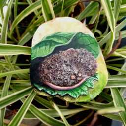 Miniature Painting Sleeping Woolmouse - thumbnail 4