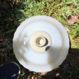 Milk Glass Bird Or Butterfly Feeder - thumbnail 3