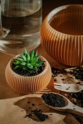 Small Planter 71P01.120.oak/3D Printed Pot Ecofriendly & Geometric Unique Gift For Cactus Lover
