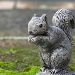 Stone Squirrel Statue Concrete Garden Figurine Outdoor Woodland Decor Rustic Yard Ornament Cement Animal Sculpture Squirrel Lover Gift - thumbnail 3