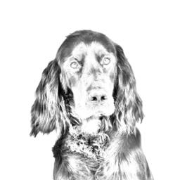 Gordon Setter - Wooden Stand For Candles/Pens With The Image Of A Dog New Collection - thumbnail 2