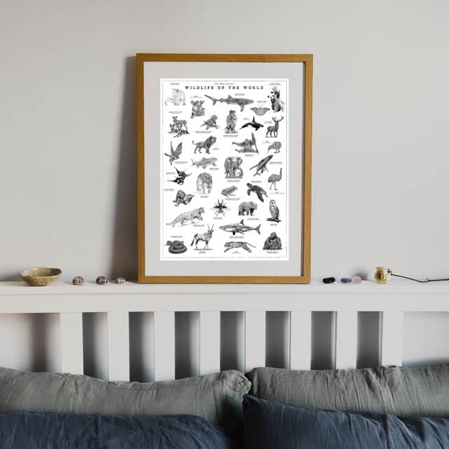 World Wildlife Poster, Vintage Animal Artwork, Hand-Drawn Collection - image 1