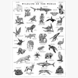 World Wildlife Poster, Vintage Animal Artwork, Hand-Drawn Collection - thumbnail 3