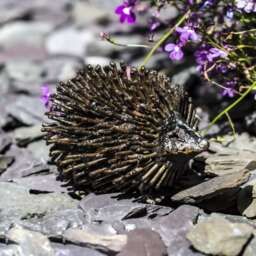 Recycled Metal Handcrafted Hedgehog Outdoor Garden Sculptures, Hedgehogs