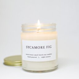 Sycamore Fig Soy Candle - Musk & Oakmoss, Vegan Home Scent - thumbnail 1