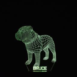Personalised Bulldog Led Night Light Animal Light Stand - thumbnail 4
