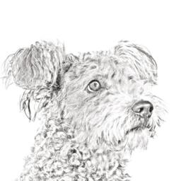 Pumi - Wooden Stand For Candles/Pens With The Image Of A Dog New Collection - thumbnail 2