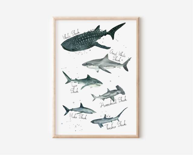 Shark Species Watercolor Print Labelled Nautical Nursery Art - image 1