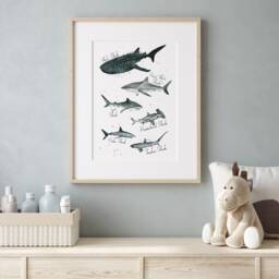 Shark Species Watercolor Print Labelled Nautical Nursery Art - thumbnail 2