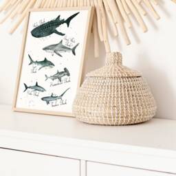 Shark Species Watercolor Print Labelled Nautical Nursery Art - thumbnail 3