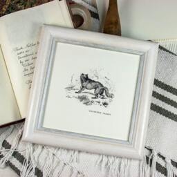 5x5 Or 6x6 Inch Square Simple Cottage-Style Rounded Bead Profile - White With Pale Stone-Grey Inner Photo Frame Deluxe Quality - thumbnail 2