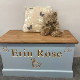 Handmade, Personalised Solid Wood Dinosaur Toy Box With Soft Closing Lid - thumbnail 2