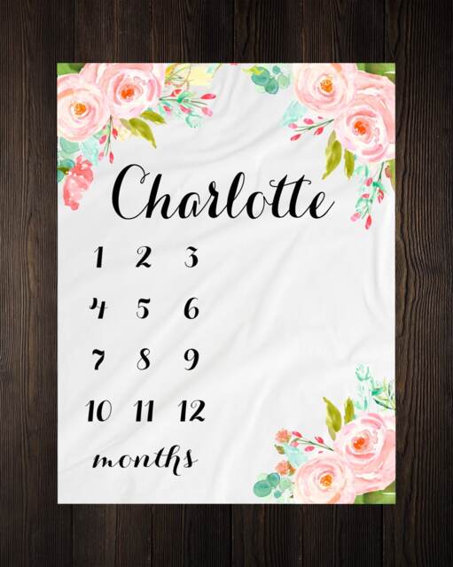 Personalized Milestone Blanket Month Growth Tracker Minky Fleece Custom Girl Baby Shower Gift Watercolor Floral Newborn - image 1