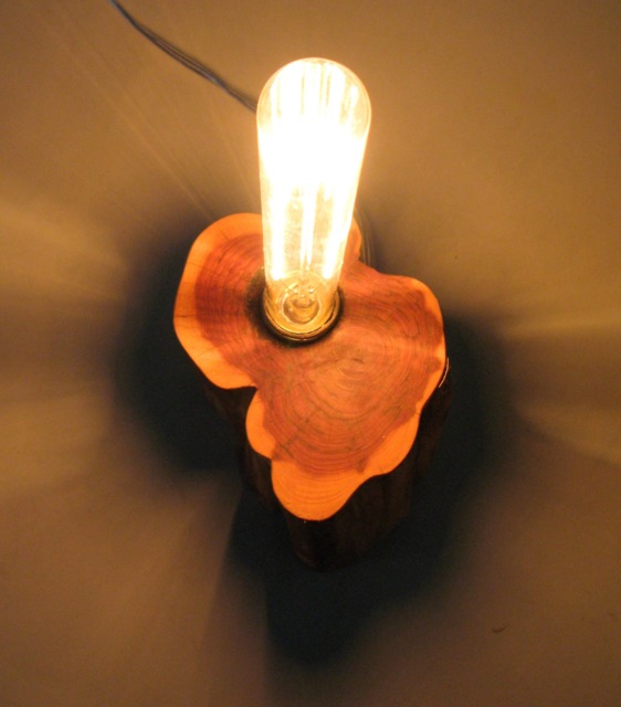 Table Lamp- Desk Bedside Entry Wooden Boho Edison Cedar Wood- Modern Lighting- Home Decor- One Of A Kind - image 1