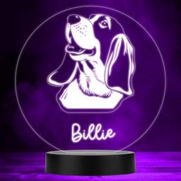 Basset Hound Dog Pet Multicolour Personalised Gift Led Lamp Night Light - Bedroom