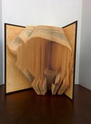 Buffalo - Folded Book Art Fully Customizable, Bison, Animal - thumbnail 1