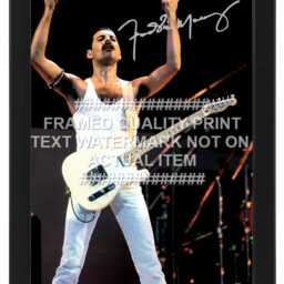 Freddie Mercury Signed Printed Autograph Print Photo Framed Option Queen - thumbnail 3
