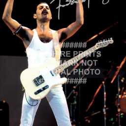 Freddie Mercury Signed Printed Autograph Print Photo Framed Option Queen - thumbnail 2