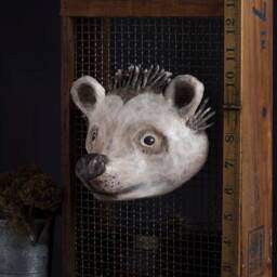 Paper Mache, Hedgehog, Head Wall Mount, Home Decor, Animal Head, Hanging - thumbnail 3