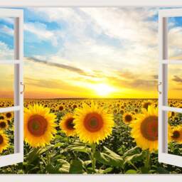 3D Window Flowers Decal, Frame, Wall Decor, Flower Decals, Vinyl Stickers, Peel & Stick Vinyl W29 - thumbnail 2