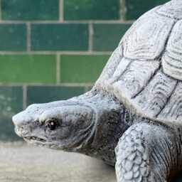 Outdoor Turtle Sculpture Concrete Tortoise Figurine Stone Animal Statue Garden & Home Ornament Turtle Lover Gift Handmade Yard Art - thumbnail 3