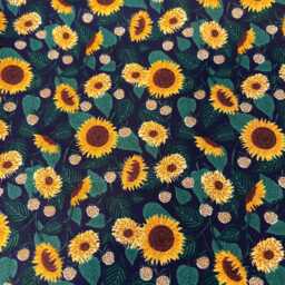 Rifle Paper Co Curio Sunflower Fields in Navy Fabric Pillow Cover - thumbnail 4