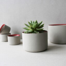 Red-Rimmed 4-Inch Concrete Planter - Round Minimalistic Concrete Planter Succulent Pot Gardening Gift Red Rim - thumbnail 2