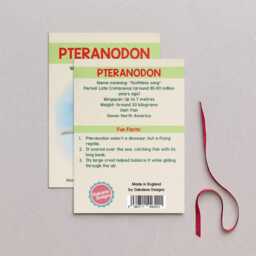 Wooden Pteranodon Dinosaur Christmas Tree Decoration, Birch Plywood Lover Gift, Keepsake, Watercolour Art - thumbnail 2