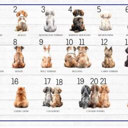 Dog & Owner Cushion. Personalised Dog Lots Of Different Dogs Available - thumbnail 3