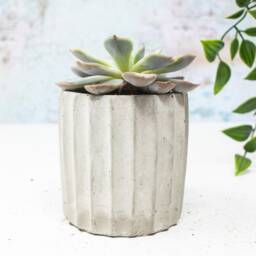 Ridged Concrete Planter Handmade Modern Home Decor - thumbnail 3