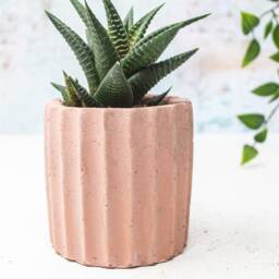 Ridged Concrete Planter Handmade Modern Home Decor - thumbnail 2