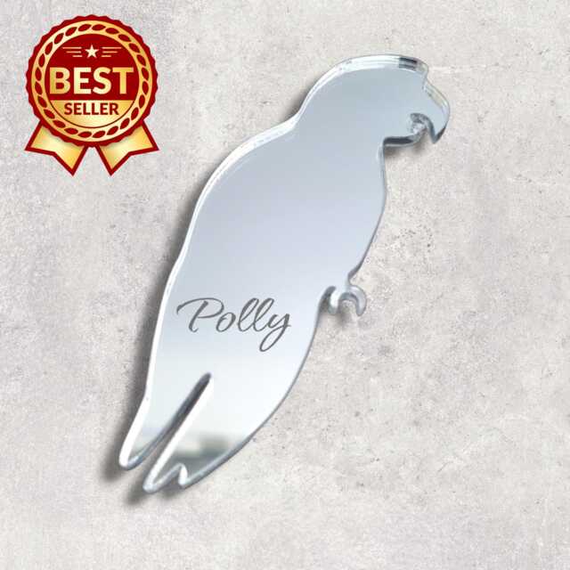 Parrot Acrylic Mirror Wall Art Personalized Engraved Decor - image 1