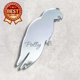 Parrot Acrylic Mirror Wall Art Personalized Engraved Decor