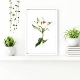 Bathroom Decor Set Of 2 Wall Art Prints, Framed Prints For Toilet, Spa Walls, Relaxation Gift Women, Botanical Boho - thumbnail 3