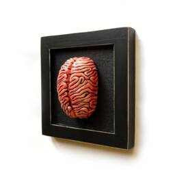 Ceramic Brain Sculpture Framed Anatomical Wall Art - thumbnail 2