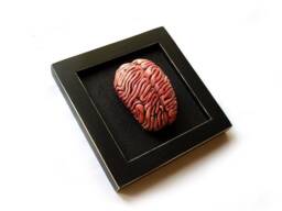 Ceramic Brain Sculpture Framed Anatomical Wall Art