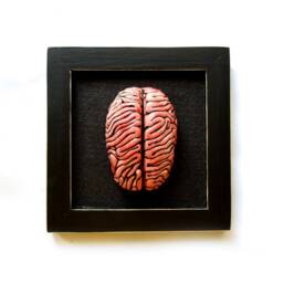 Ceramic Brain Sculpture Framed Anatomical Wall Art - thumbnail 3